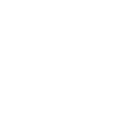 AVM Logo